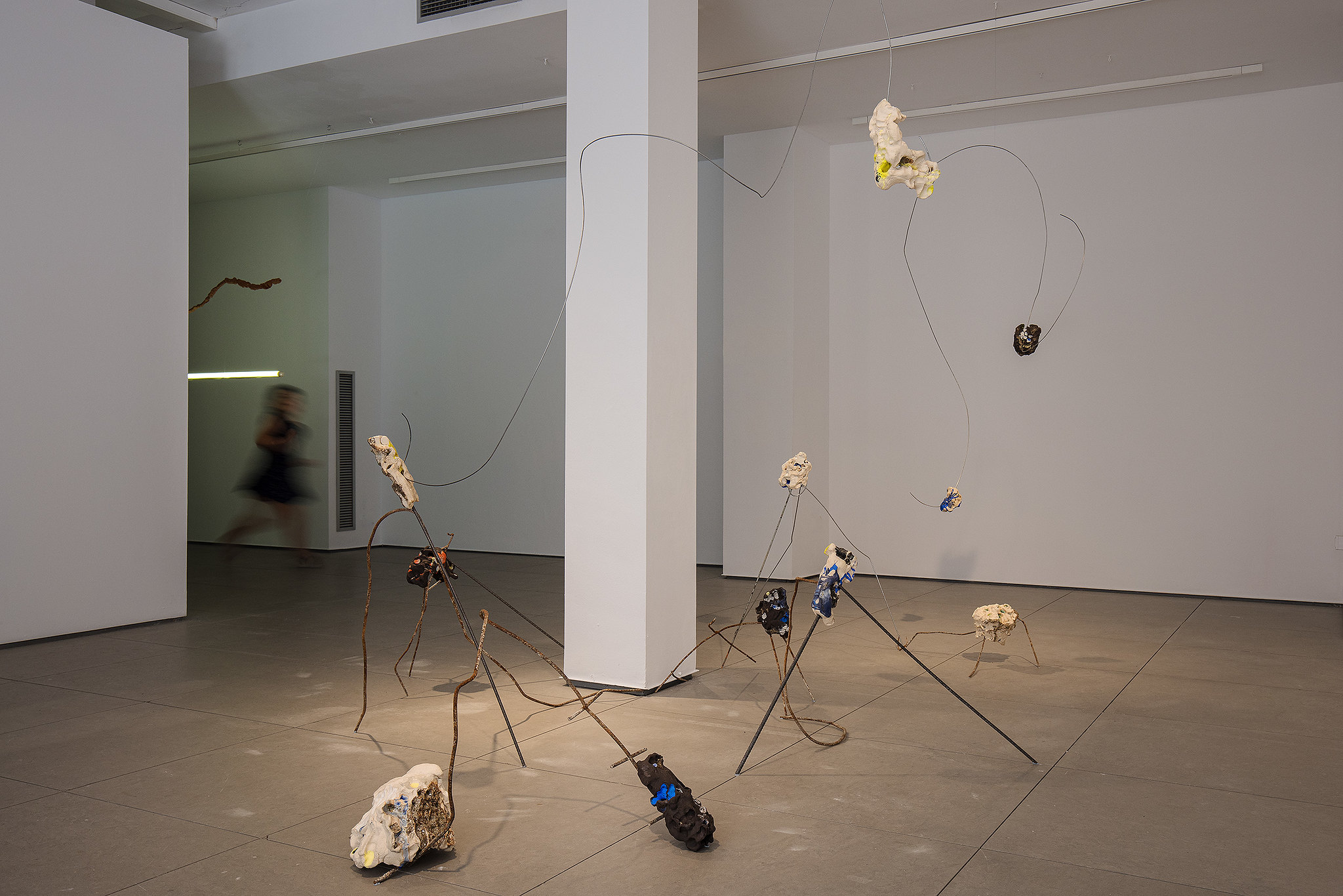 Anar per terra Maria Camila Sanjinés